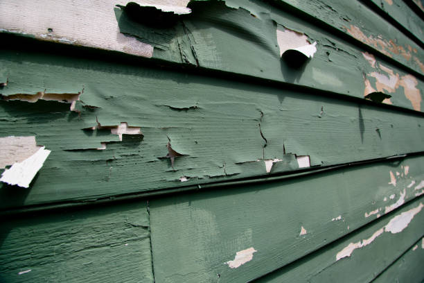 Best Demolition Debris Removal  in Dexter, MO