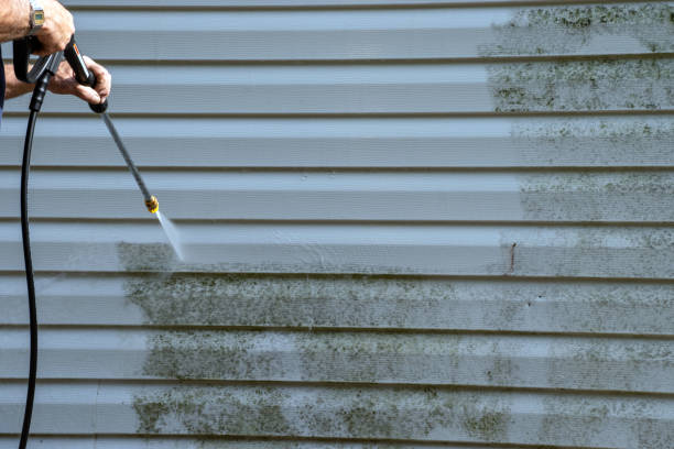 Best Appliance Removal  in Dexter, MO