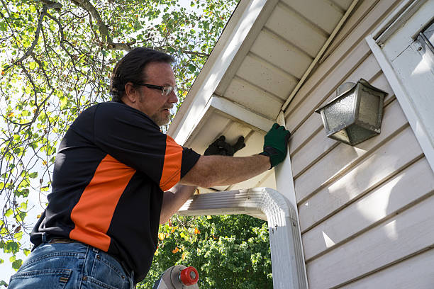 Best Same-Day Junk Removal Services  in Dexter, MO